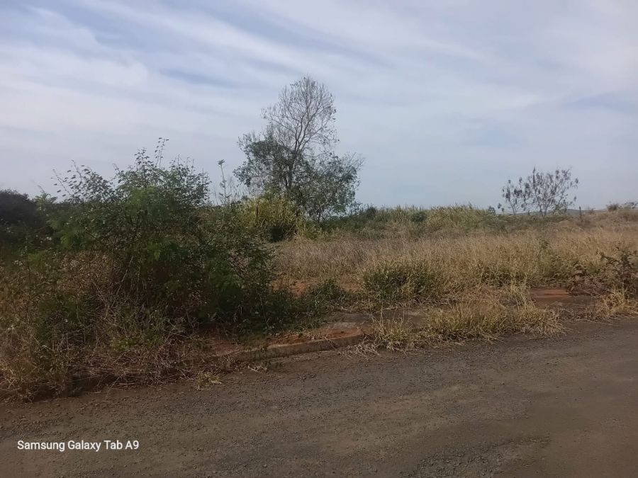 Terreno - Venda - Jardim Primavera - Figueira - PR