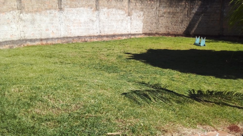 Terreno - Venda - Jardim dos Estados - Londrina - PR