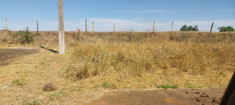 Terreno - Venda - Jardim Primavera - Figueira - PR
