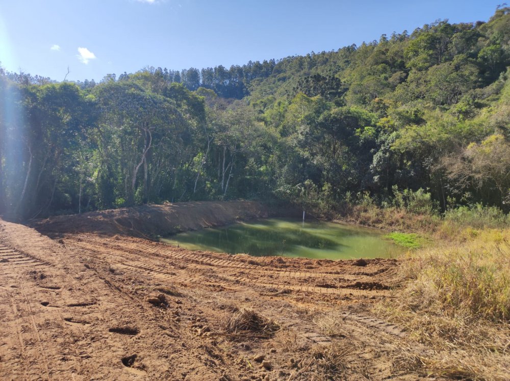 Sítio - Venda - Paloma 1 - Pinhalão - PR