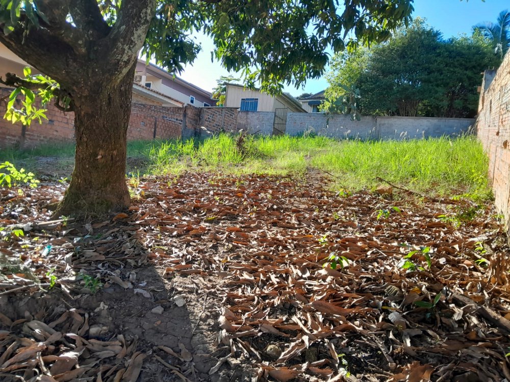 Terreno - Venda - Centro - Figueira - PR