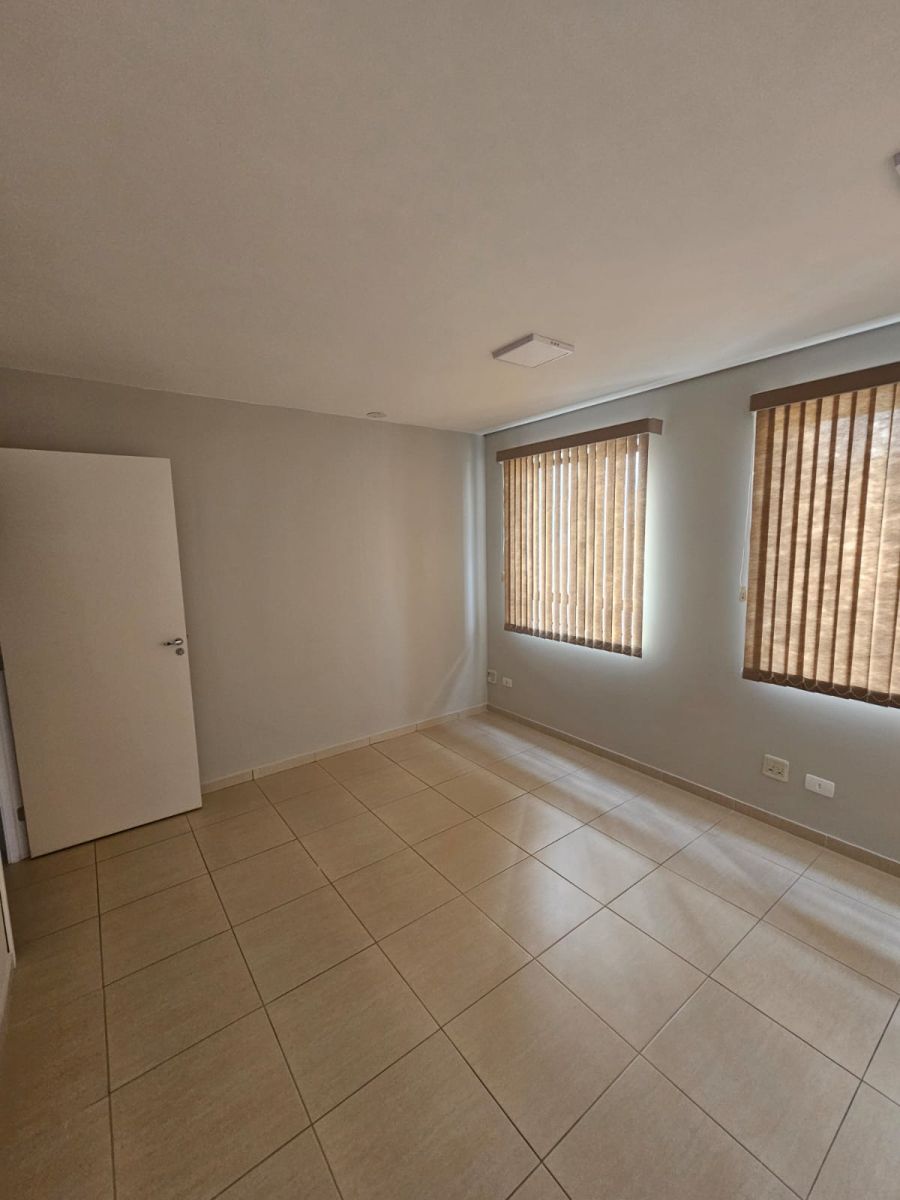 Sala Comercial - Venda - Vila Ipiranga - Londrina - PR