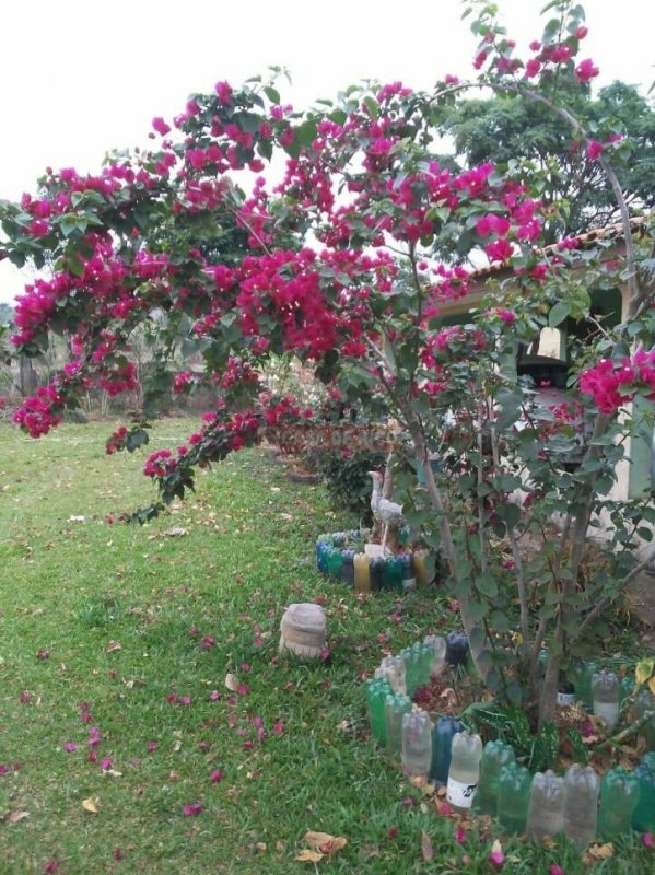 Imagem 4