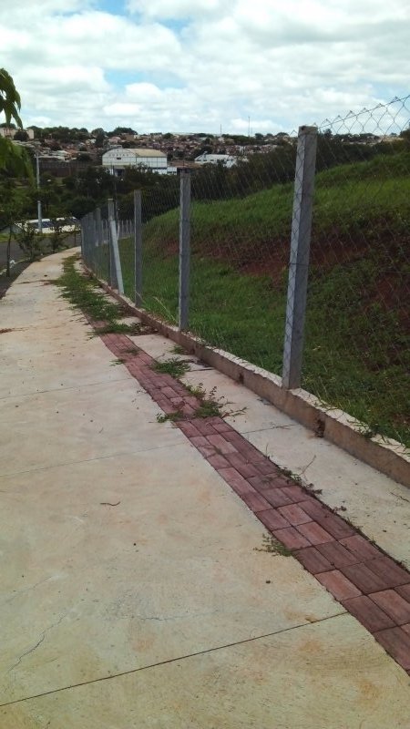 Imagem 3
