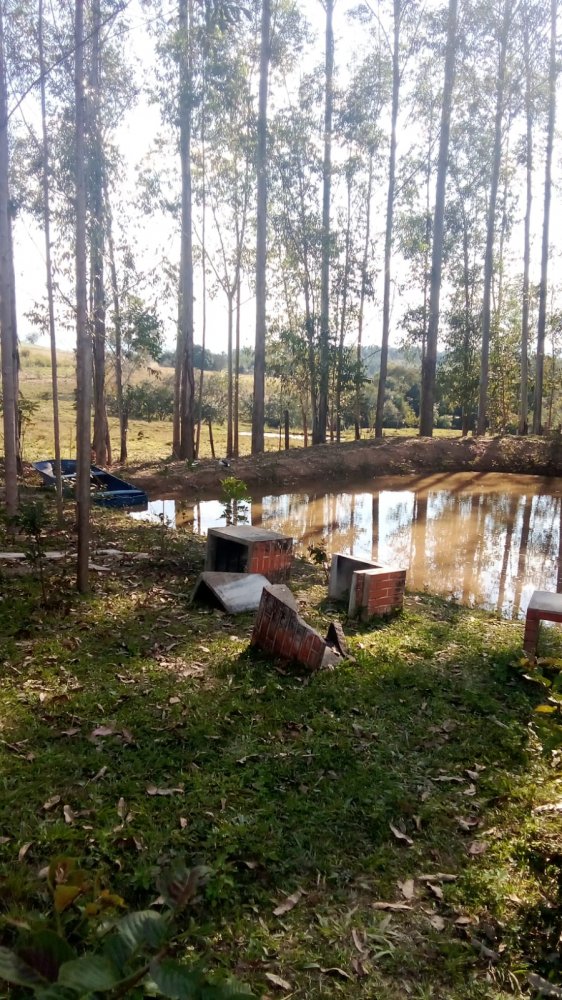 Chcara - Venda - Euzbio de Oliveira - Ibaiti - PR