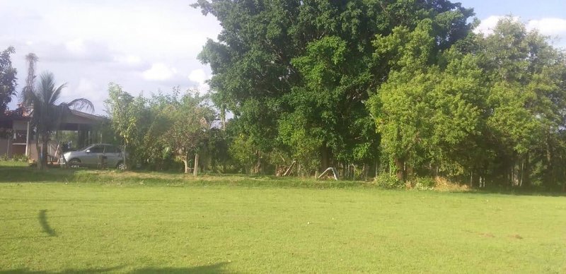 Chcara - Venda - Chcara Santa Clara - Londrina - PR