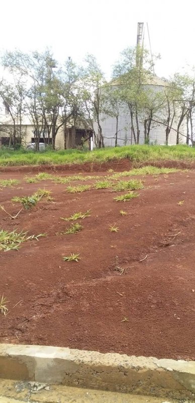 Terreno - Venda - Centro - So Jernimo da Serra - PR