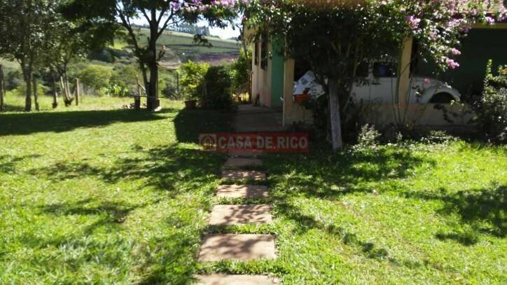 Imagem 3