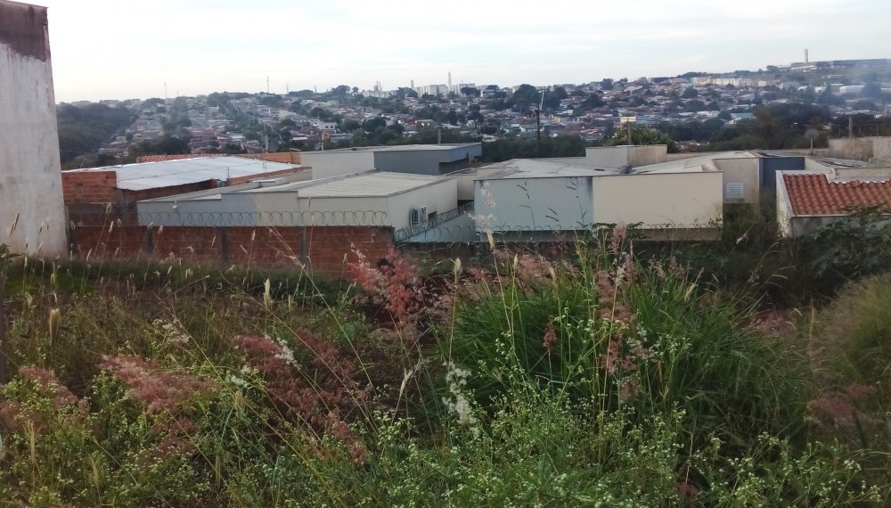 Terreno - Venda - Jardim Tropical - Londrina - PR