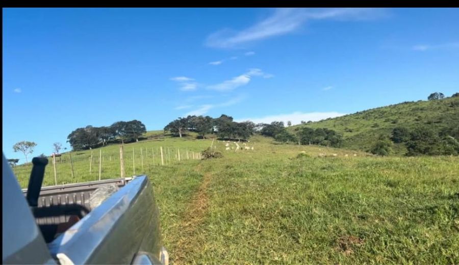 Stio - Venda - Boa Vista - Curiva - PR