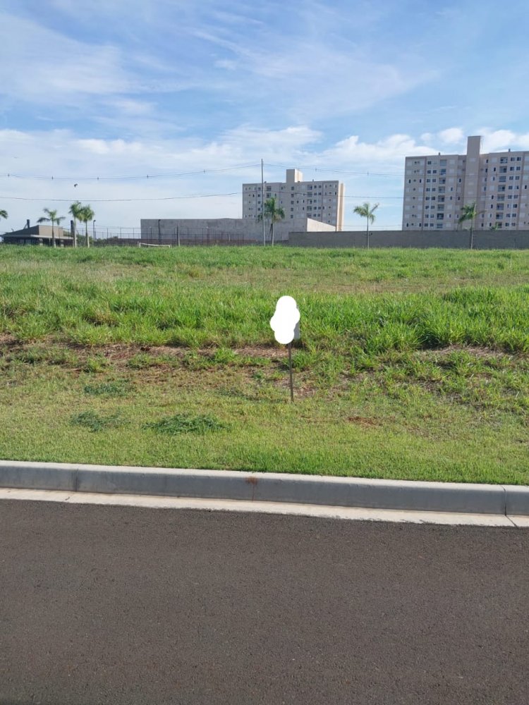 Terreno - Venda - Gleba Simon Frazer - Londrina - PR