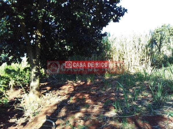 Imagem 3