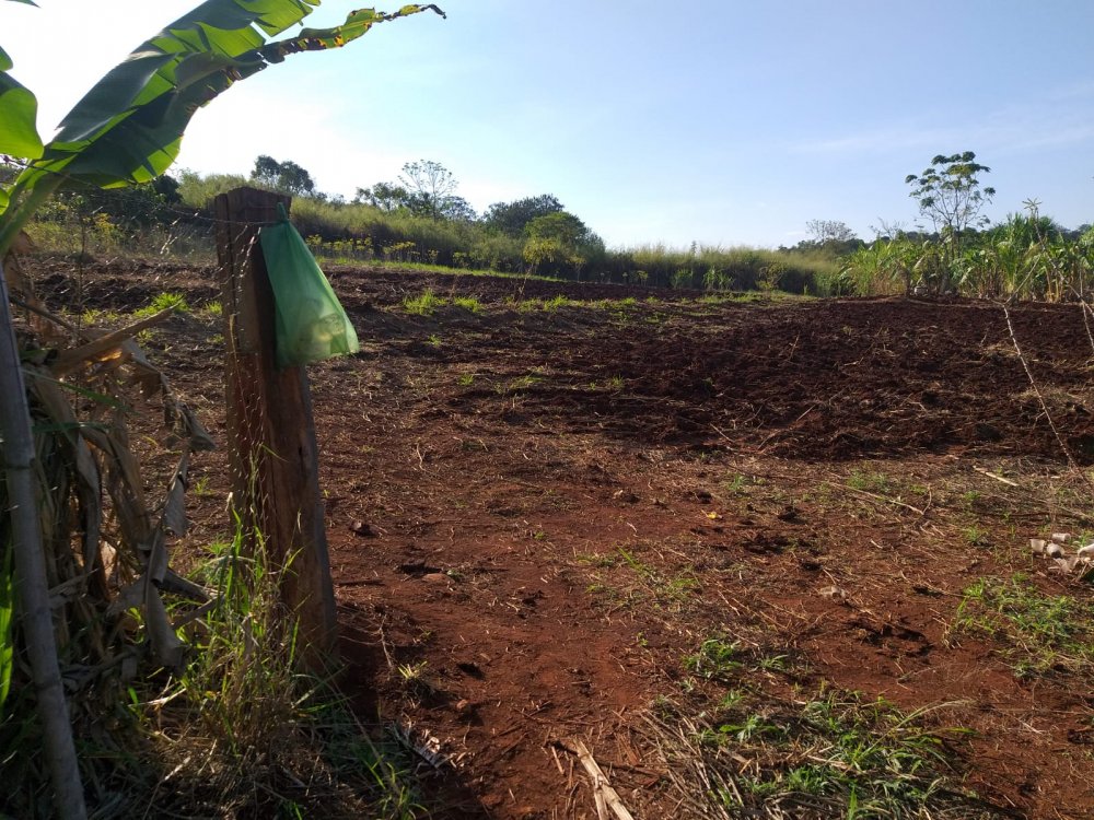 Chcara - Venda - Municipio de Cerro Leao - Assa - PR