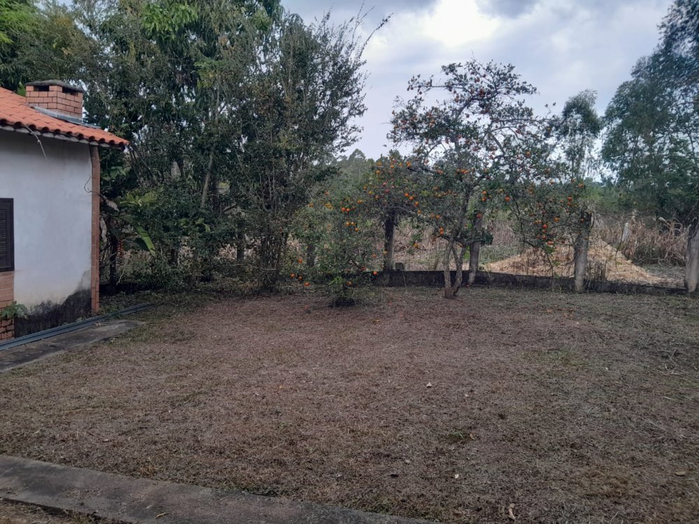Imagem 3