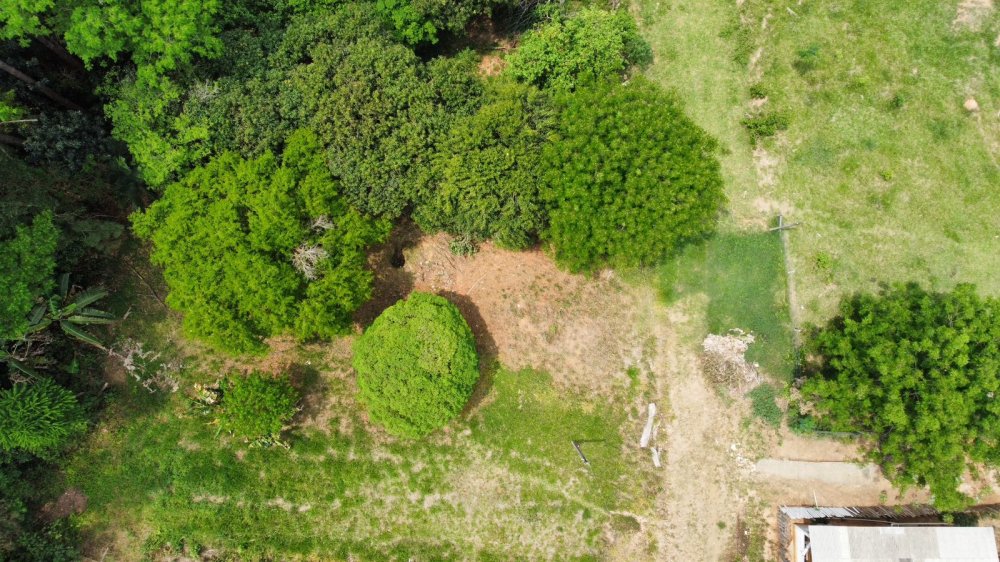 Terreno - Venda - Vila Marli - Figueira - PR