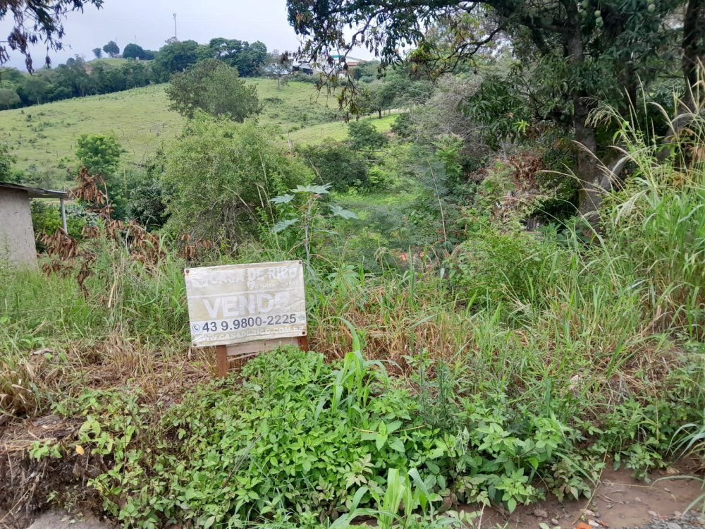Terreno - Venda - Centro - Figueira - PR