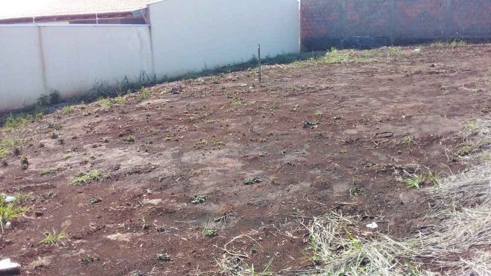 Imagem 3