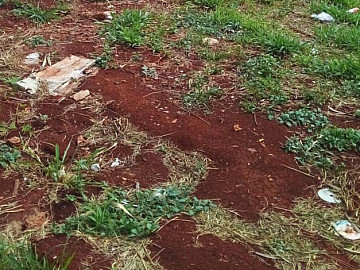 Terreno � Venda